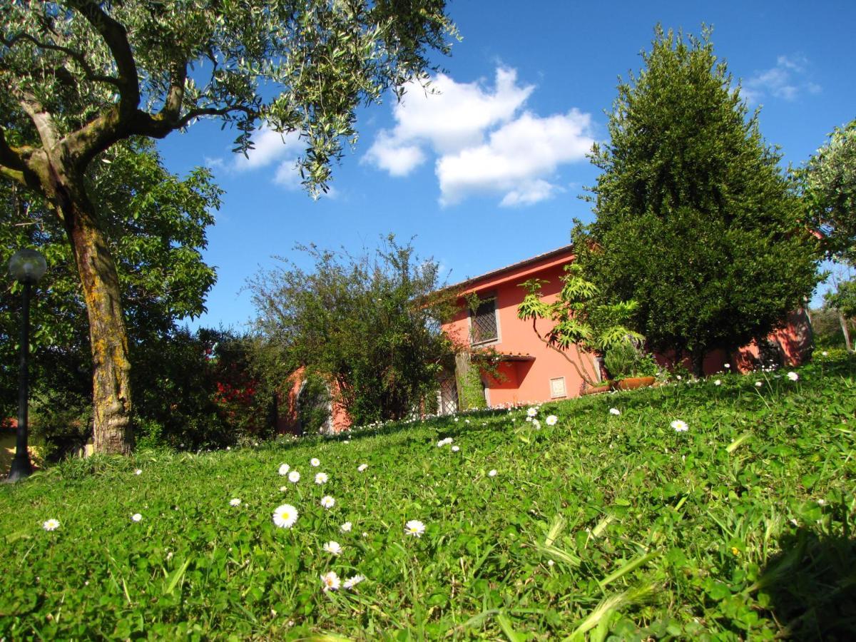 B&B Ai Glicini - Castelli Romani Marino Zewnętrze zdjęcie
