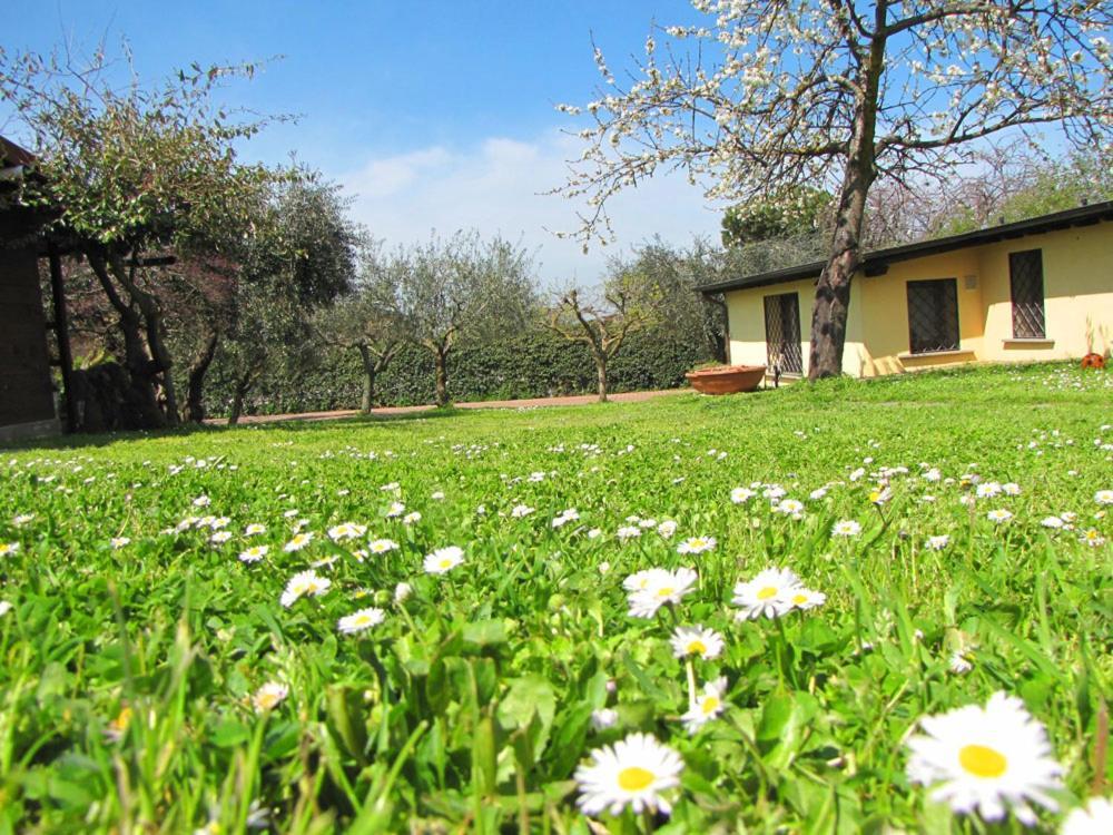 B&B Ai Glicini - Castelli Romani Marino Zewnętrze zdjęcie