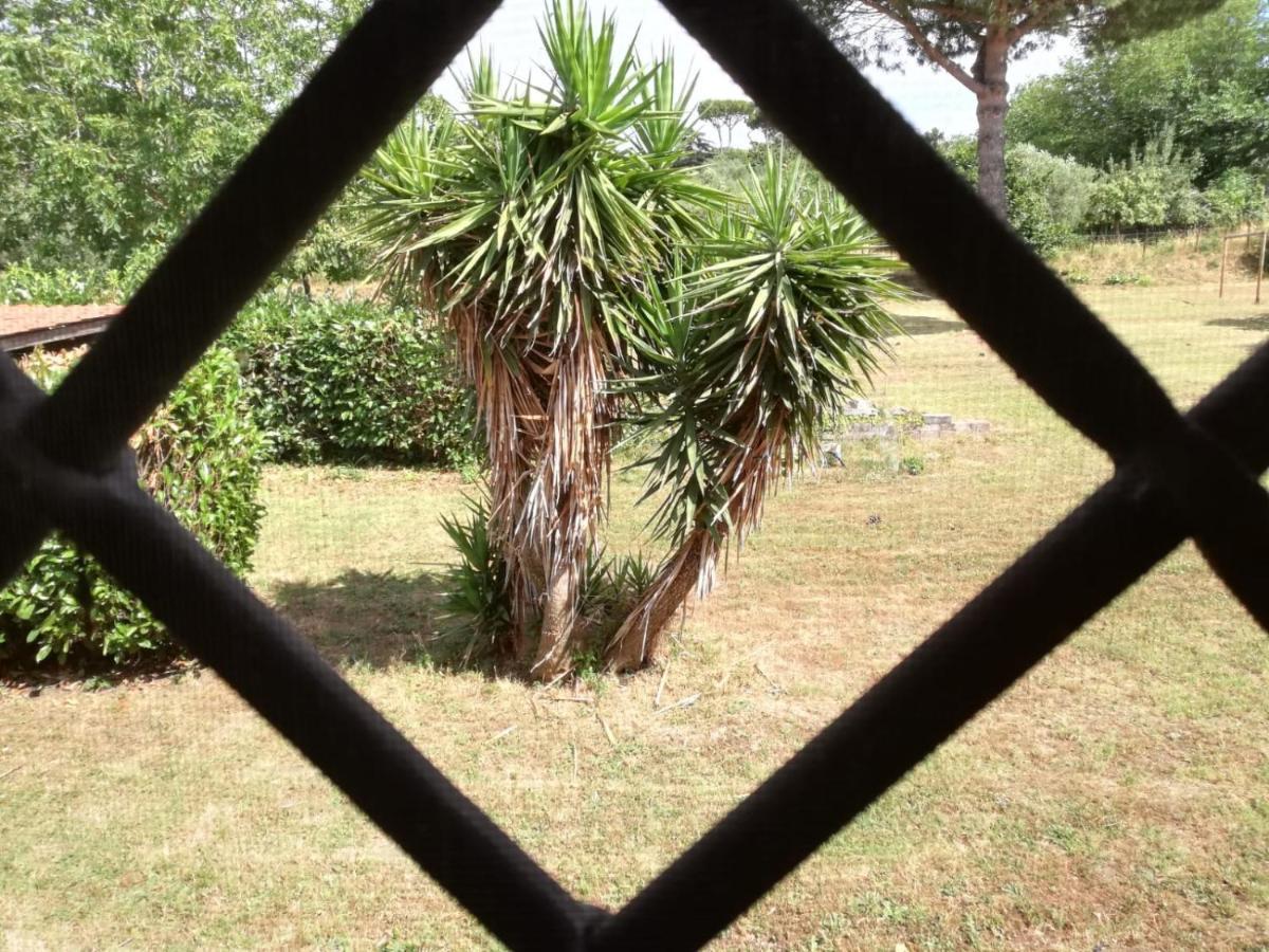 B&B Ai Glicini - Castelli Romani Marino Zewnętrze zdjęcie