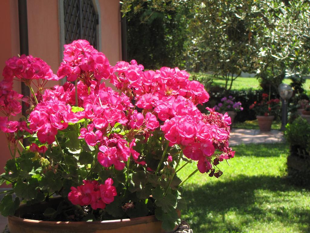 B&B Ai Glicini - Castelli Romani Marino Zewnętrze zdjęcie