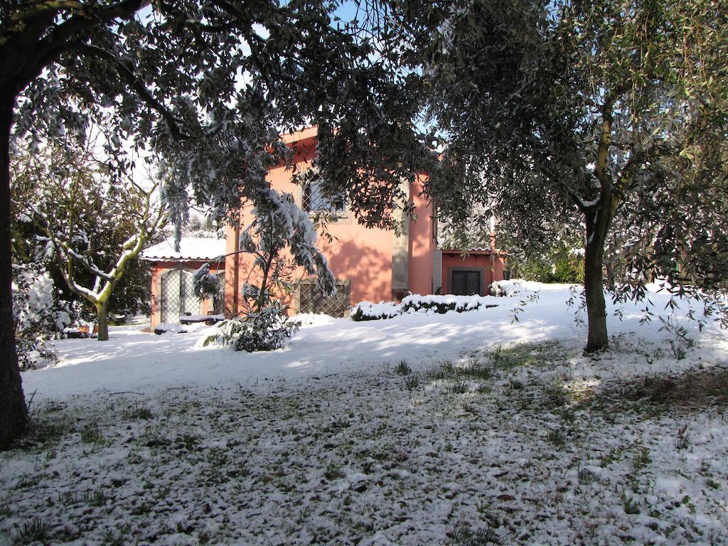 B&B Ai Glicini - Castelli Romani Marino Zewnętrze zdjęcie